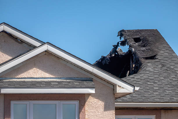 Top rated local Odor Removal specialists in Takoma Park, MD